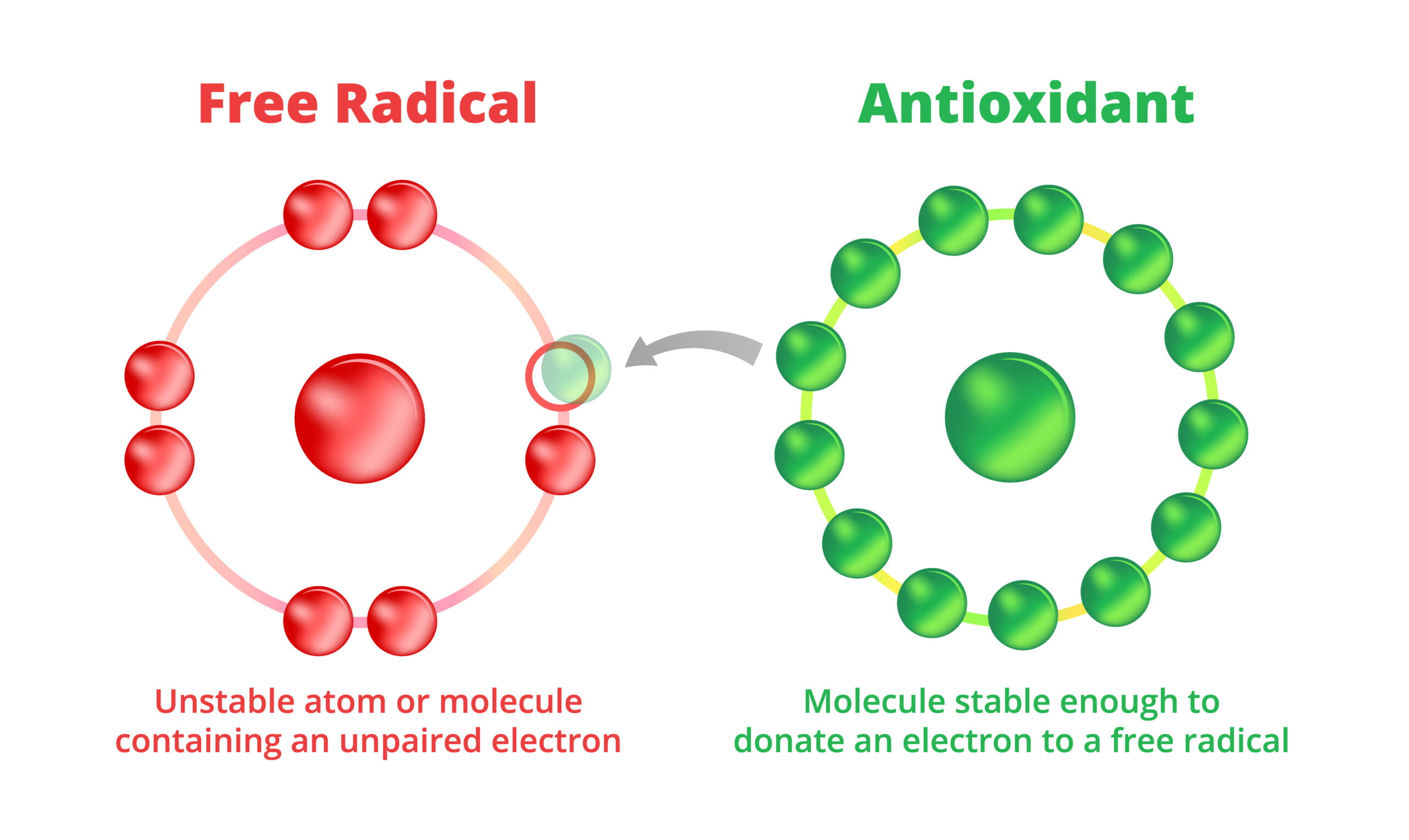 Neutralization of free radicals by antioxidants