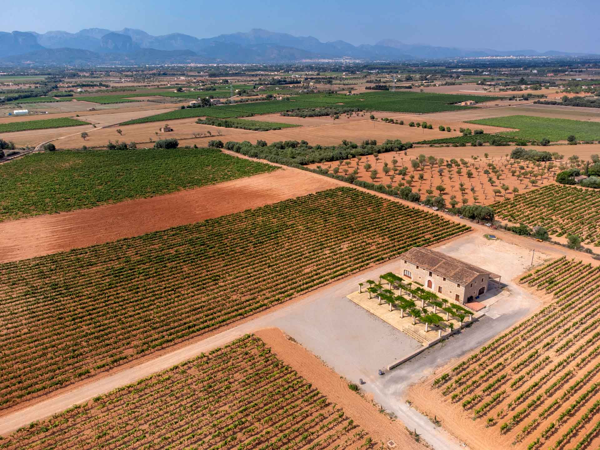 Gourmet 26 Bodegas Macià Batle, Santa María, Mallorca