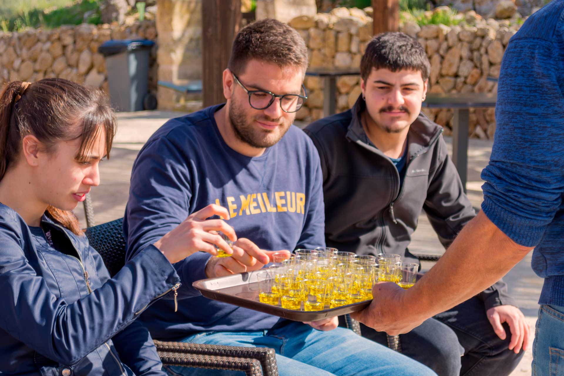 Agroturismo en un olivar: descubre Mallorca de otra manera 2 Oleoturismo en Mallorca - Cata de aceite de oliva virgen extra