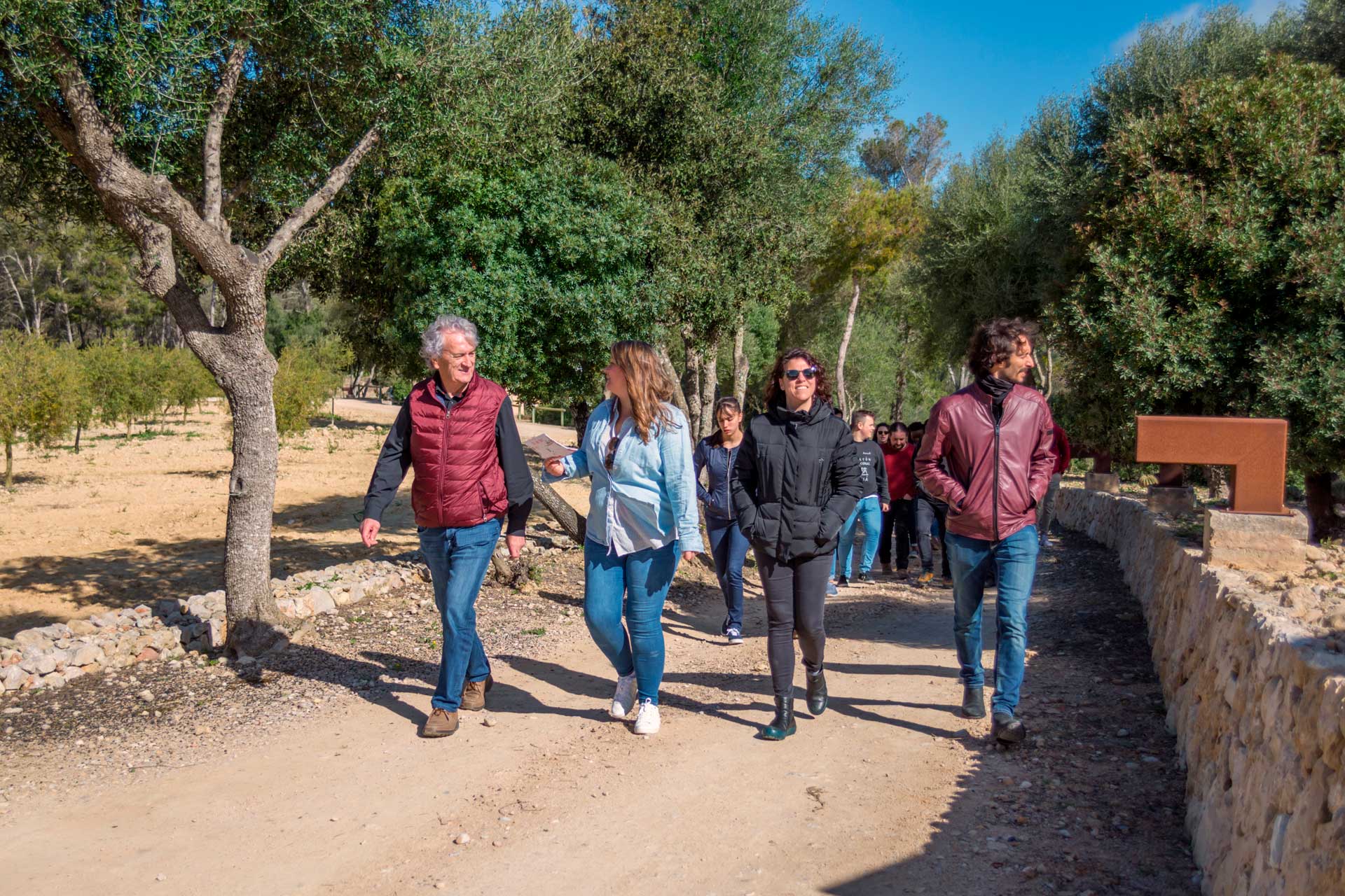 Agroturismo en un olivar: descubre Mallorca de otra manera 3 Oleoturismo en Mallorca - Paseando por la finca