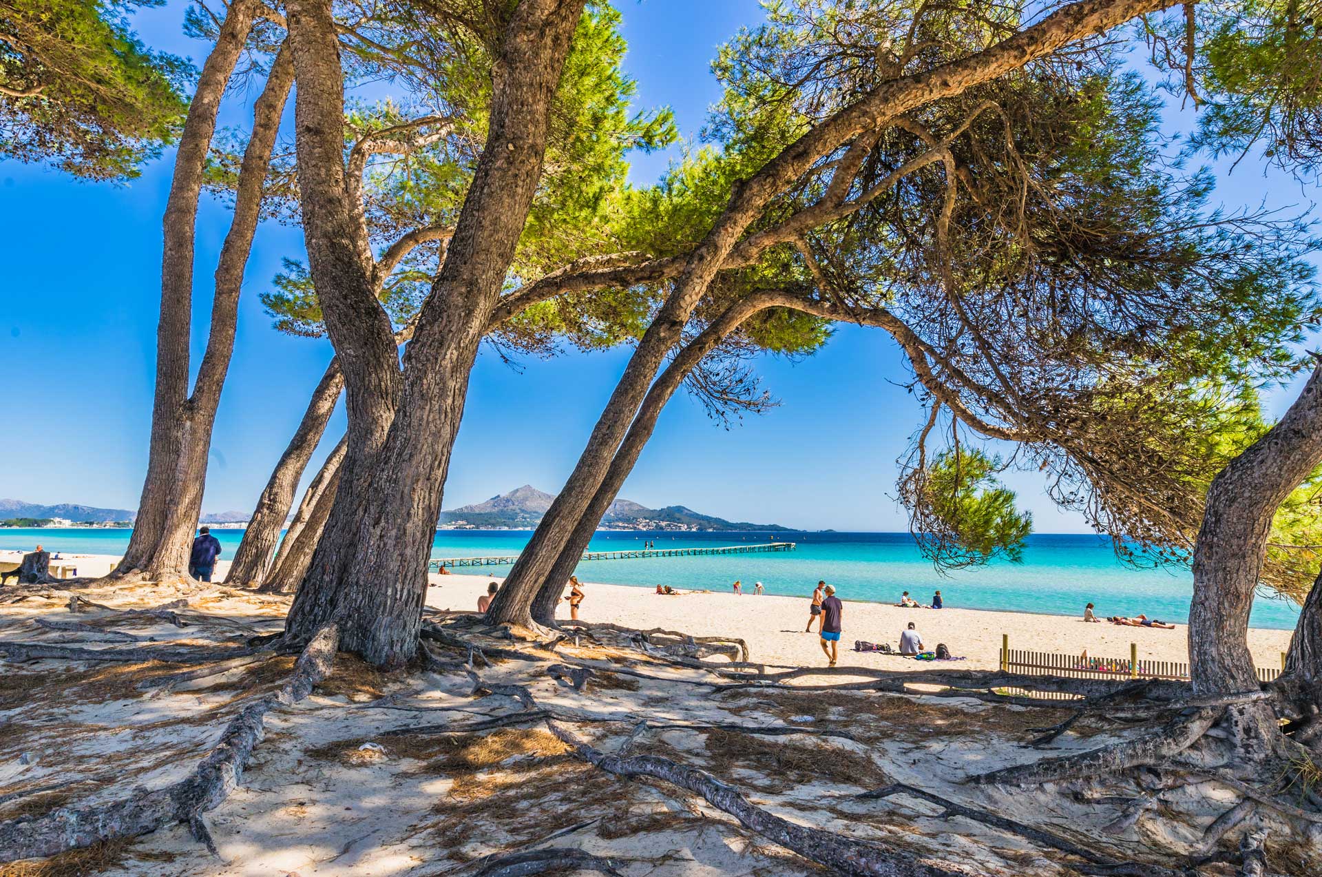 Playas de Alcudia