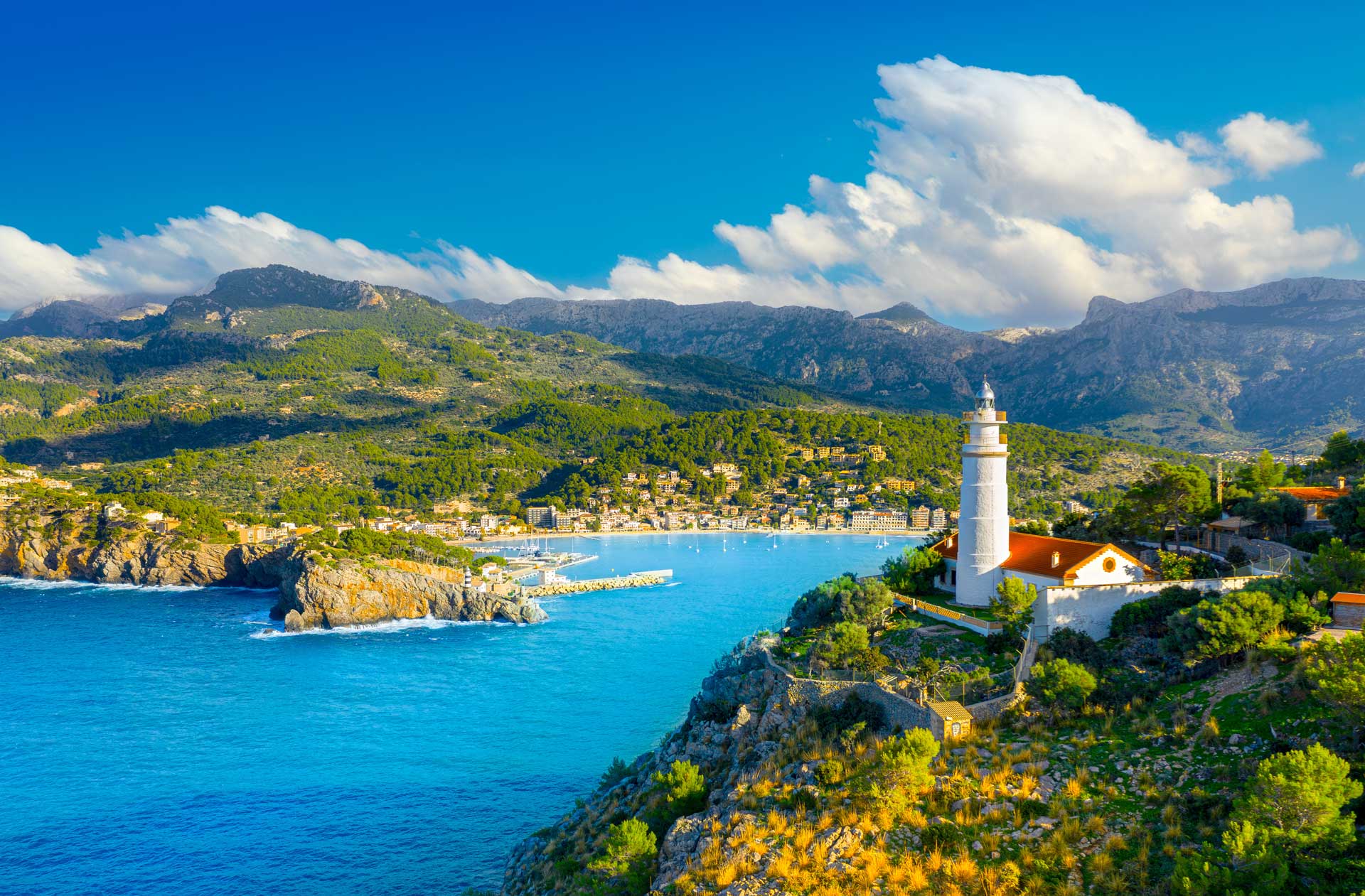 Treurer extra virgin olive oil from Majorca 29 Port de Soller - Puerto de Soller