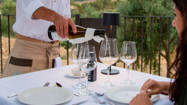 Visita a la finca con cata de aceite y vino