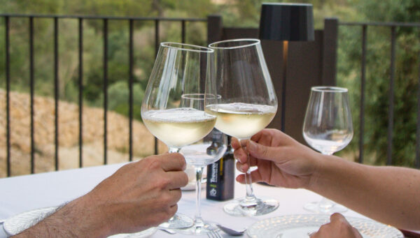 Visita a la finca con cata de aceite y vino