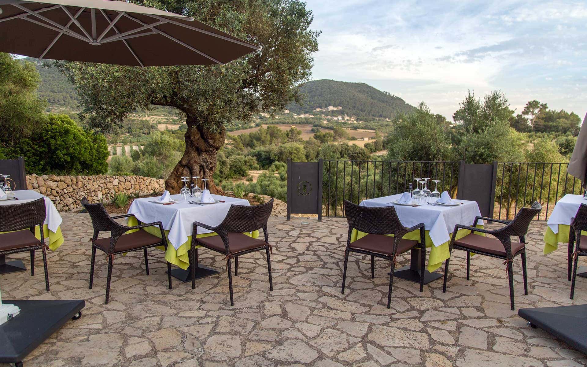 Treurer_barbacoa_08_06_2023_4