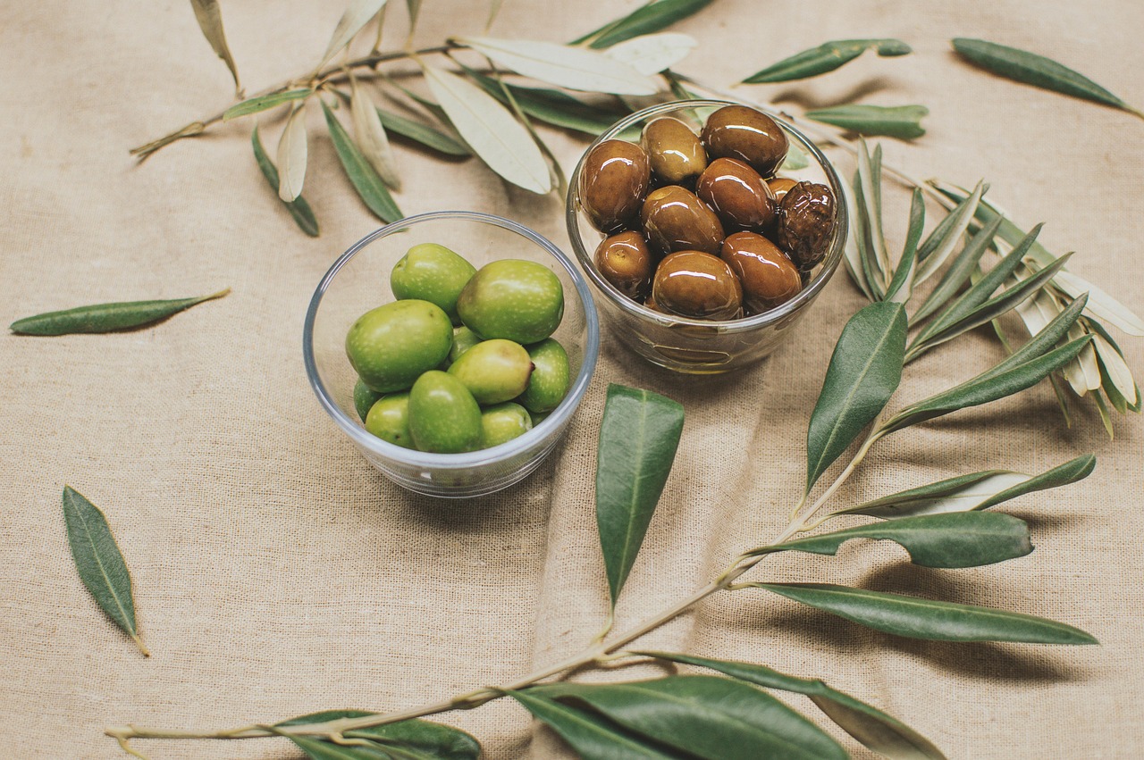 Maestros oleícolas de Mallorca: los productores que forjaron una tradición 2 Finca de olivos antiguos en terrenos de Mallorca con paisaje mediterráneo.