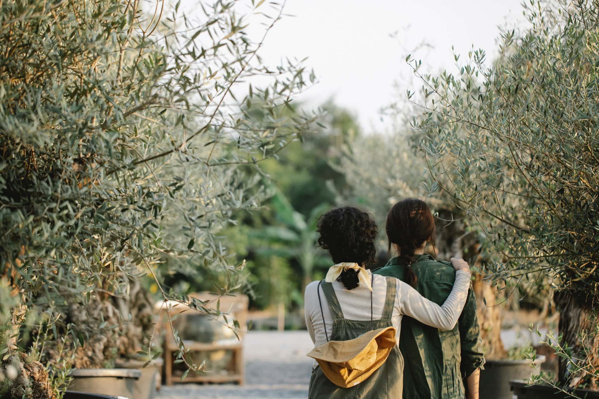 oleoturismo en mallorca