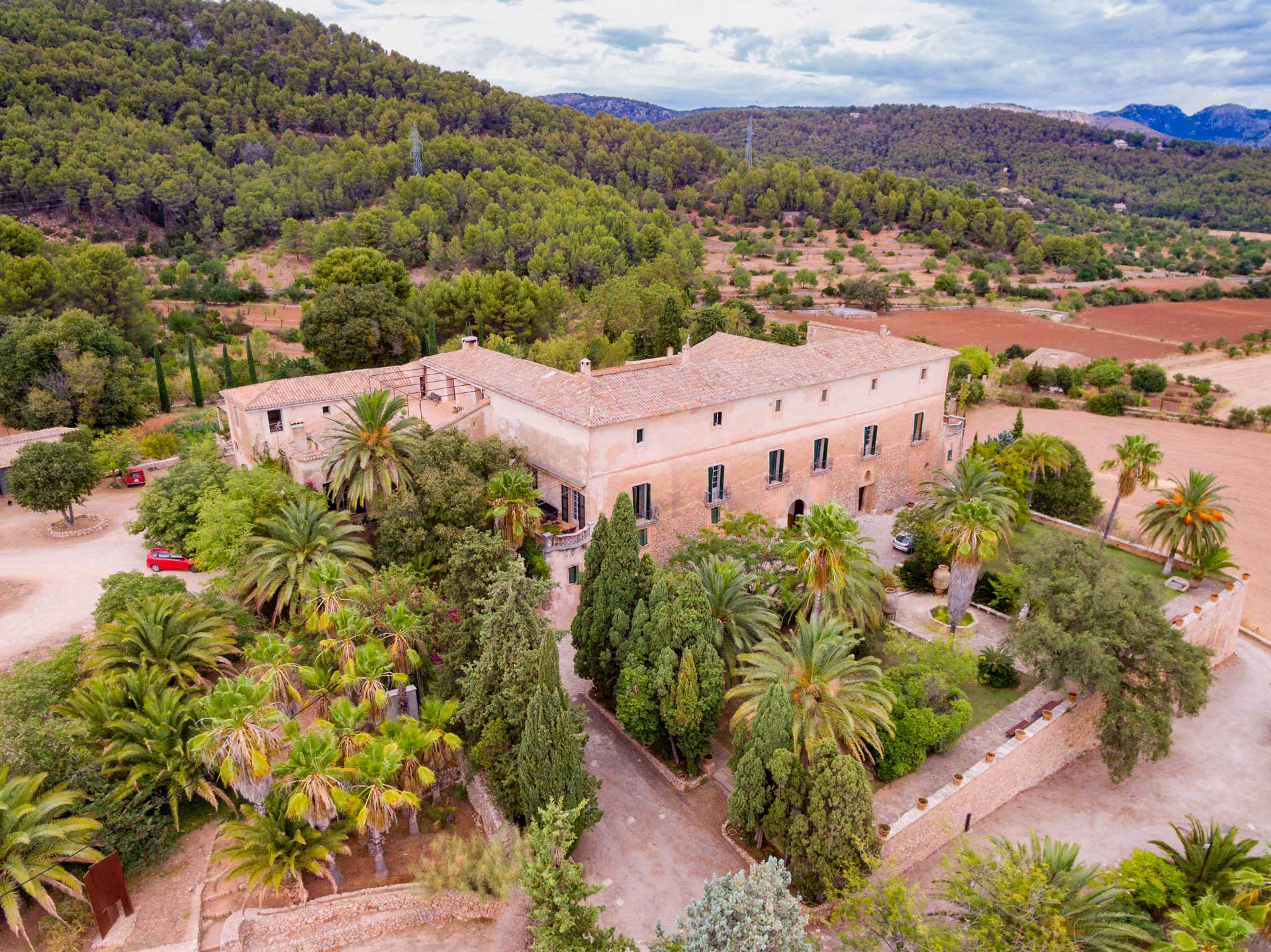 Gourmet 31 Las possessions mallorquinas fueron el corazón del cultivo del olivo durante siglos.